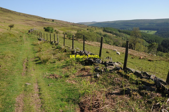 Photo 6"x4" Fence and remains of a wall Llanthony c2012