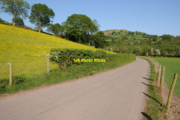 Photo 6"x4" Road near Pontyspig Forest Coal Pit c2012