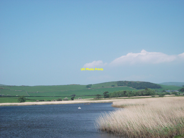 Photo 6"x4" Calm amongst the reed beds Tywyn\/SH5800 c2012