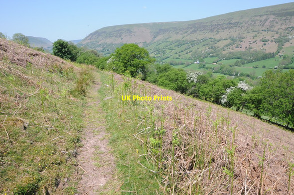 Photo 6"x4" Path above the Vale of Ewyas Capel-y-ffin c2012