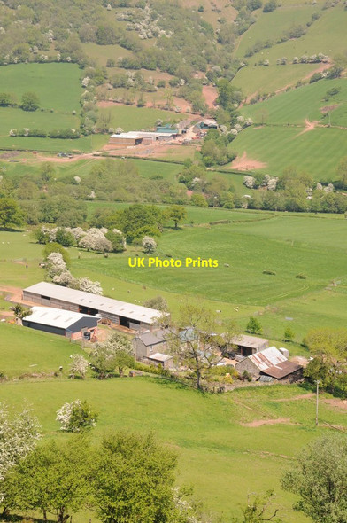 Photo 6"x4" Farms in the Vale of Ewyas Llanthony c2012