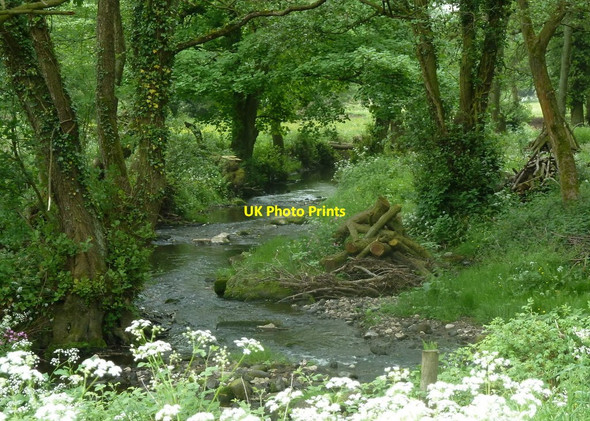 Photo 6"x4" River Amber near Ashover Ashover c2012