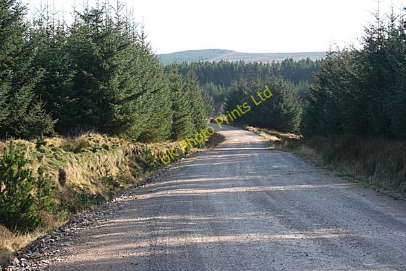 Photo 6"x4" Forest Road Gedloch Burn c2007