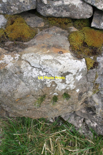Photo 6"x4" Benchmark on roadside wall NE of Long Slack Gate Oughtershaw c2012