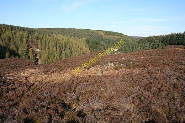 Photo 6"x4" Camsheil Craig Gedloch Burn c2007
