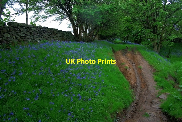 Photo 6"x4" Mill Lane, Raisdale Chop Gate c2012