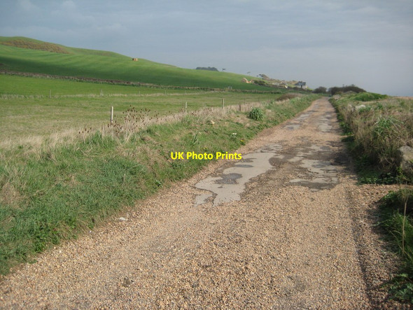 Photo 6"x4" Coast path passing East Bexington Farm West Bexington c2012