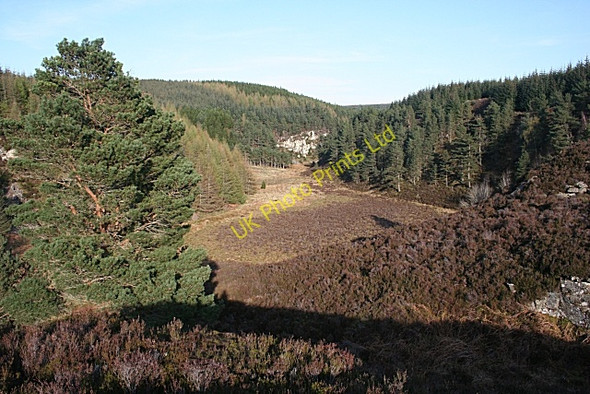 Photo 6"x4" Camsheil Craig Gedloch Burn c2007