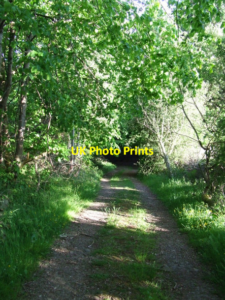 Photo 6"x4" Track leading to Kelly Mains Wemyss Bay\/NS1969 c2012 P1