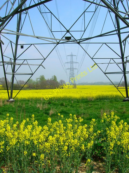 Photo 6"x4" Electricity Pylons near New House Farm Flackley Ash c2007