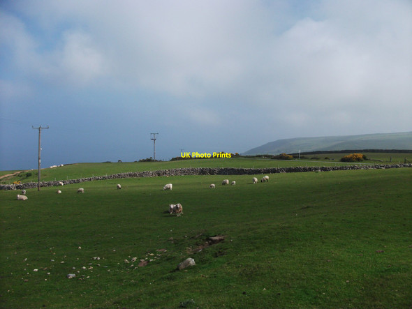 Photo 6"x4" Upland grazings at Carn-y-cadell uchaf Hendre\/SH5909 c2012