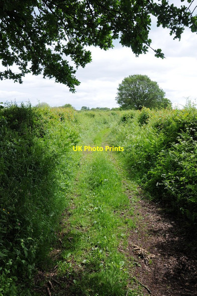 Photo 6"x4" Green lane and right of way Llanarth\/SO3710 c2012
