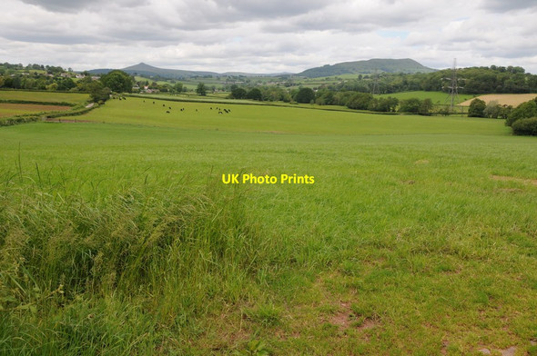 Photo 6"x4" View to Llanddewi Rhydderch Coed Morgan c2012