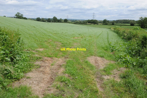 Photo 6"x4" Farmland near Llanddewi Rhydderch Llanvapley c2012