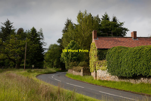Photo 6"x4" Keld Lane Hutton-le-Hole c2012