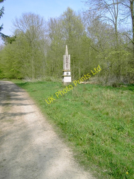 Photo 6"x4" Obelisk In Chicksands Wood Deadman's Cross c2007