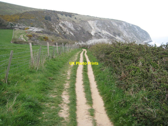 Photo 6"x4" The coast path approaching Ballard Cliff Swanage c2012