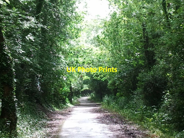 Photo 6"x4" Old railway track, now a cycle route, from Cossington to Bawdrip Bawdrip c2012