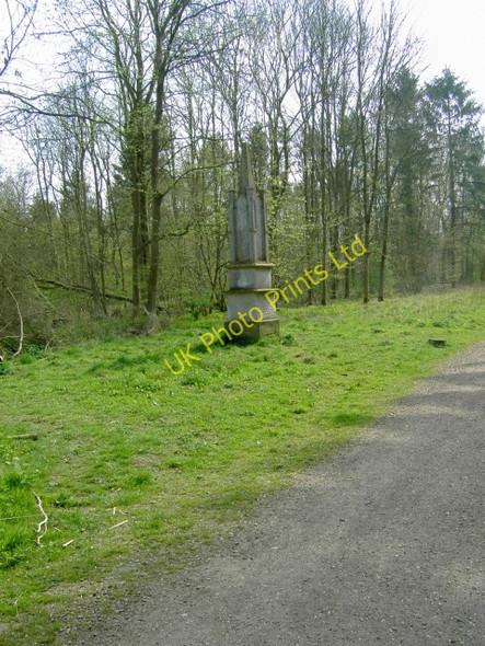 Photo 6"x4" The Obelisk in Chicksands Wood from the NE Deadman's Cross c2007