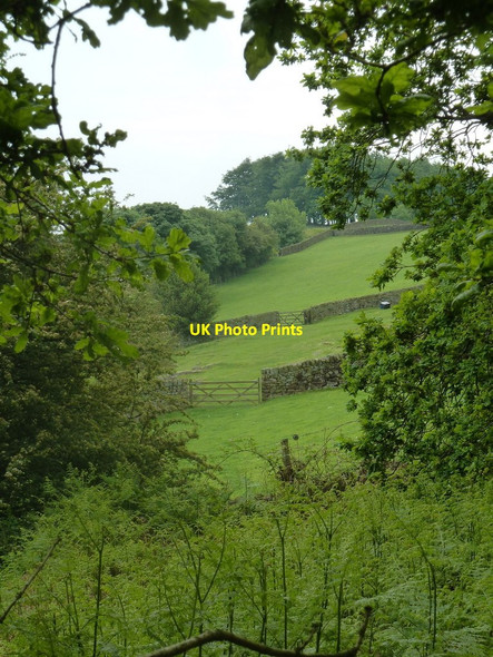 Photo 6"x4" Fields south of Cocking Tor Ashover Hay c2012
