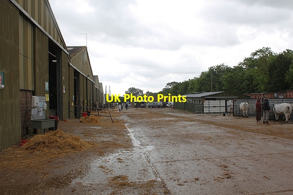 Photo 6"x4" Three Counties Show - cattle sheds Malvern Wells c2012