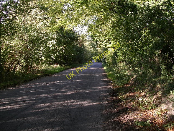 Photo 6"x4" Blowingstone Hill Kingston Lisle c2004