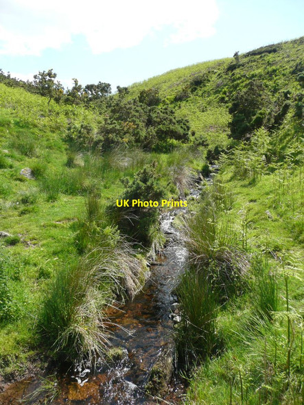 Photo 6"x4" Burn between Yeavering Bell and Easter Tor Kirknewton\/NT9130 c2012
