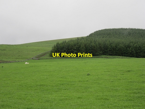 Photo 6"x4" Field, Roberton Roberton\/NS9428 c2012
