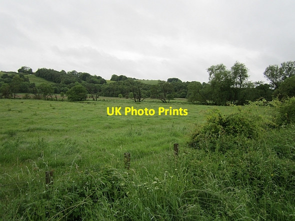 Photo 6"x4" Field beside the Devon Tillicoultry c2012
