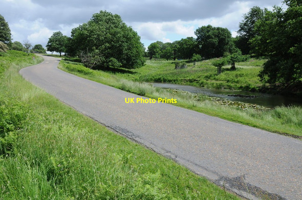 Photo 6"x4" Road through Richmond Park Kingston Upon Thames c2012