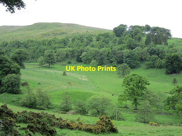 Photo 6"x4" Glen Eagles parkland Muirton\/NN9211 c2012