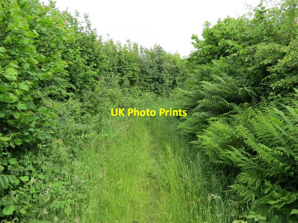 Photo 6"x4" Llwybr cyhoeddus Maesteg public footpath Maesteg\/SS8591 c2012