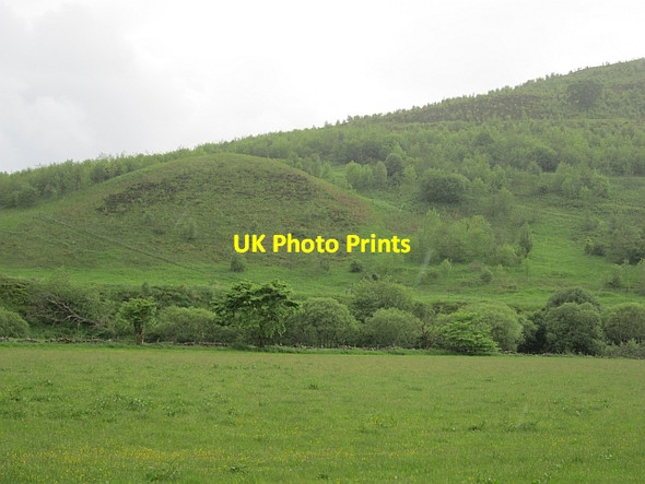 Photo 6"x4" Young woodland, Glen Devon Glendevon\/NN9904 c2012