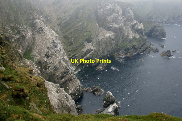 Photo 6"x4" Soorie Geo, Hermaness Burrafirth c2012