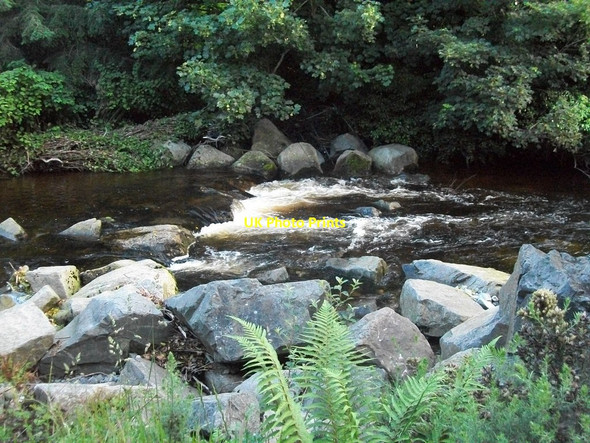 Photo 6"x4" The peat stained waters of the Shimna above the New Bridge Newcastle\/J3732 c2012