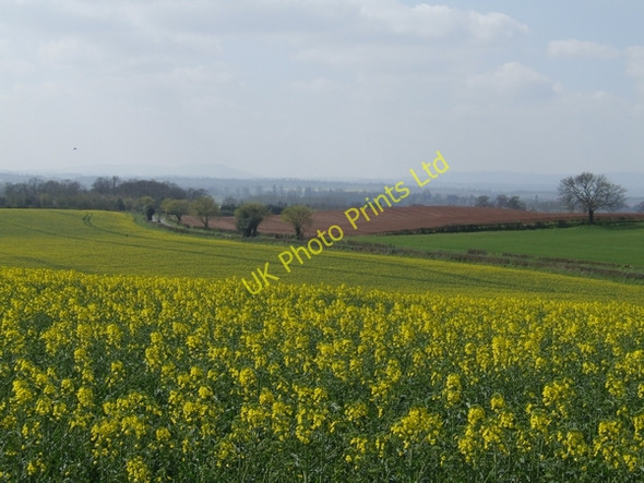 Photo 6"x4" Clee view Chesterton\/SO7897 c2007