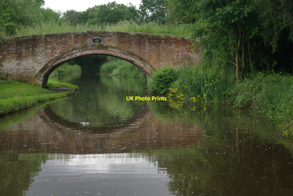 Photo 6"x4" Lodgefield Bridge, Staffs & Worcs Canal Baswich c2012