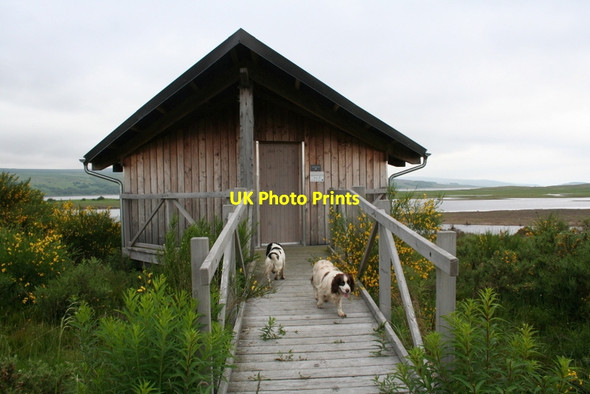 Photo 6"x4" The Dalchork bird hide Tirryside c2012