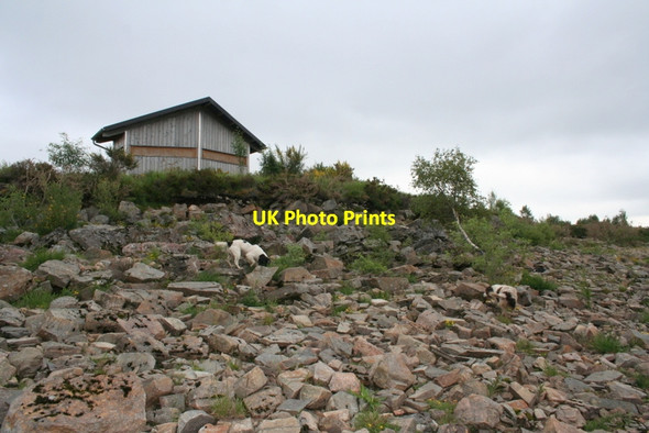 Photo 6"x4" Birds-eye view of a bird hide! Tirryside c2012