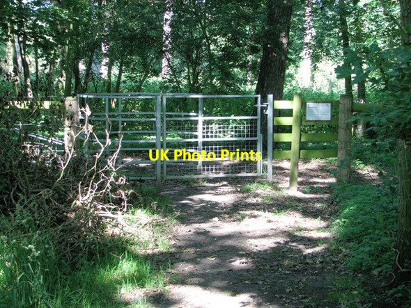 Photo 6"x4" Gate into Dunwich Forest Dunwich c2012