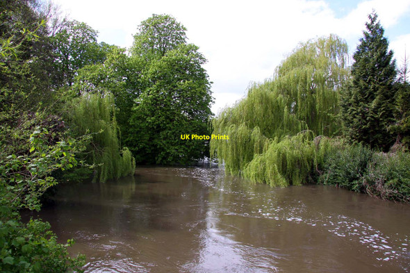 Photo 6"x4" The River Kennet at Sulhamstead Ufton Green c2012