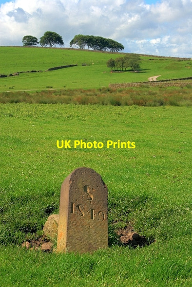 Photo 6"x4" Boundary Stone, Cressbank Common Wincle c2012