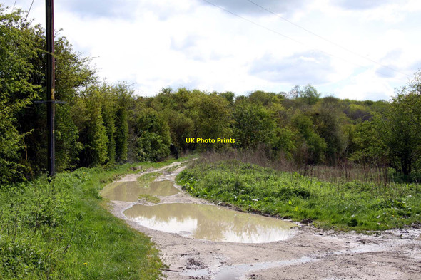 Photo 6"x4" Puddles on the byway Aston Tirrold c2012