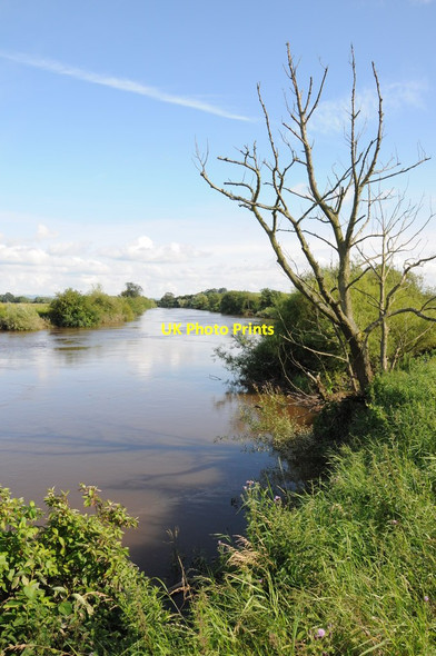 Photo 6"x4" View down the River Severn Holdfast\/SO8537 c2012