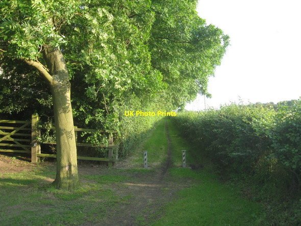 Photo 6"x4" Footpath from Cottam Road to Torksey Ferry Road Cottam\/SK8179 c2012