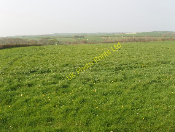 Photo 6"x4" Grass field near Sensham Titson c2007
