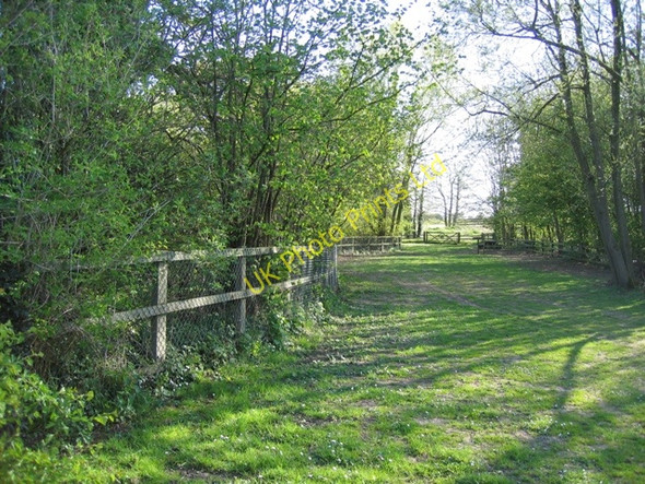 Photo 6"x4" Picnic Area by Stretton Watermill Lower Carden c2007