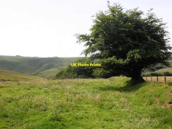 Photo 6"x4" Meadow, above the Barle Valley Simonsbath c2012