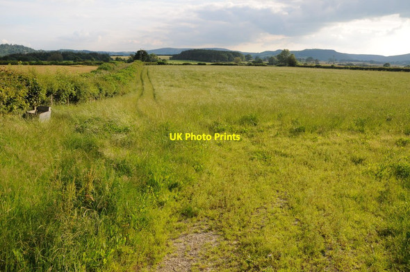 Photo 6"x4" Farmland at Evenjobb Evenjobb\/Einsiob c2012