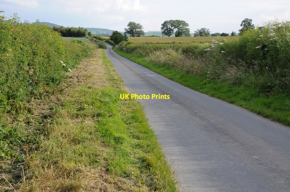 Photo 6"x4" Road to Walton Downton\/SO2360 c2012